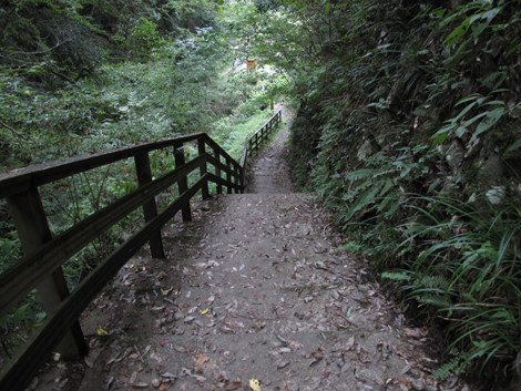 20161014hike (306)